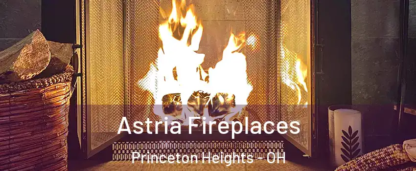 Astria Fireplaces Princeton Heights - OH