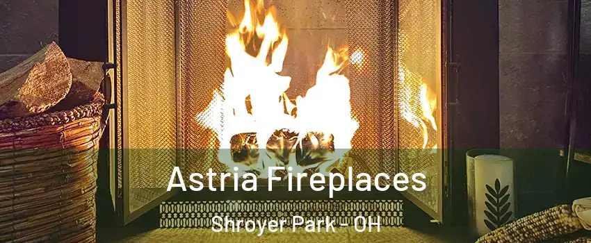 Astria Fireplaces Shroyer Park - OH