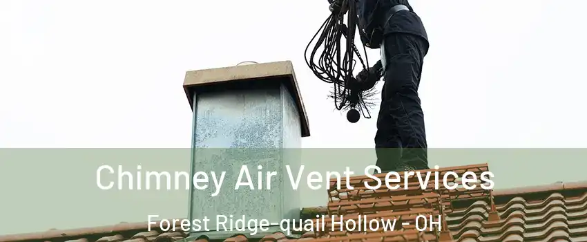 Chimney Air Vent Services Forest Ridge-quail Hollow - OH