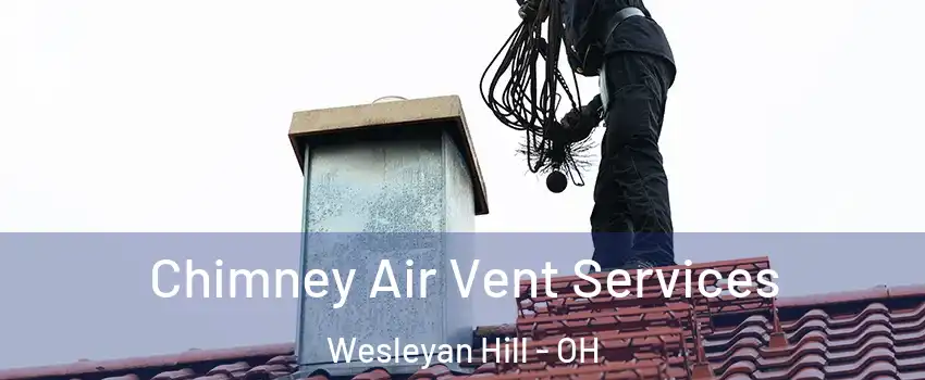 Chimney Air Vent Services Wesleyan Hill - OH