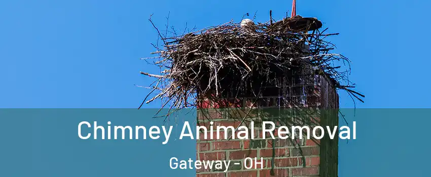 Chimney Animal Removal Gateway - OH