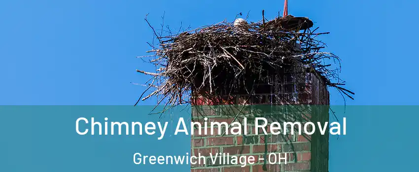 Chimney Animal Removal Greenwich Village - OH