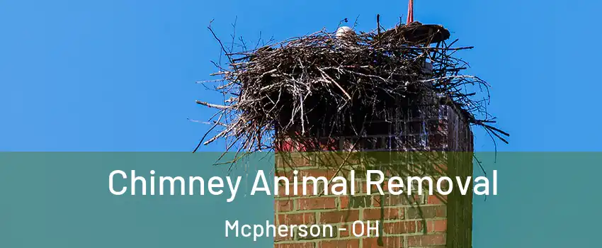 Chimney Animal Removal Mcpherson - OH