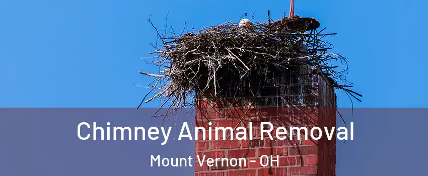 Chimney Animal Removal Mount Vernon - OH