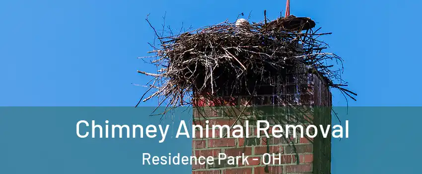 Chimney Animal Removal Residence Park - OH