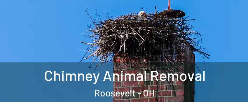 Chimney Animal Removal Roosevelt - OH