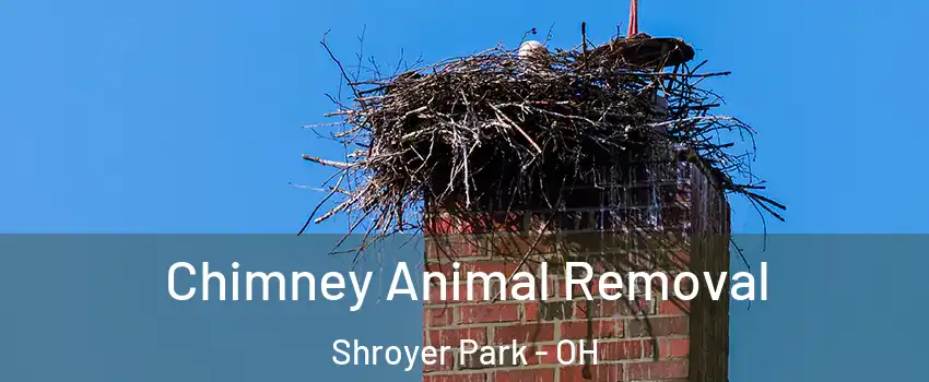 Chimney Animal Removal Shroyer Park - OH