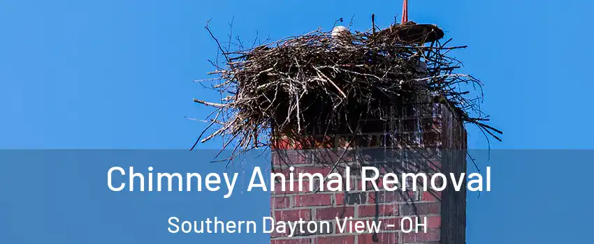 Chimney Animal Removal Southern Dayton View - OH