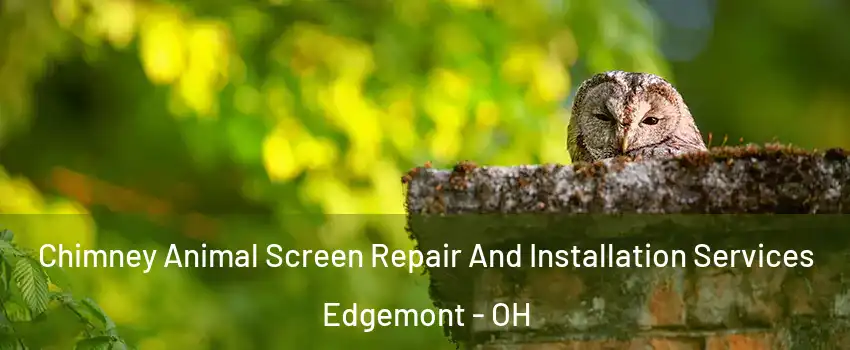 Chimney Animal Screen Repair And Installation Services Edgemont - OH