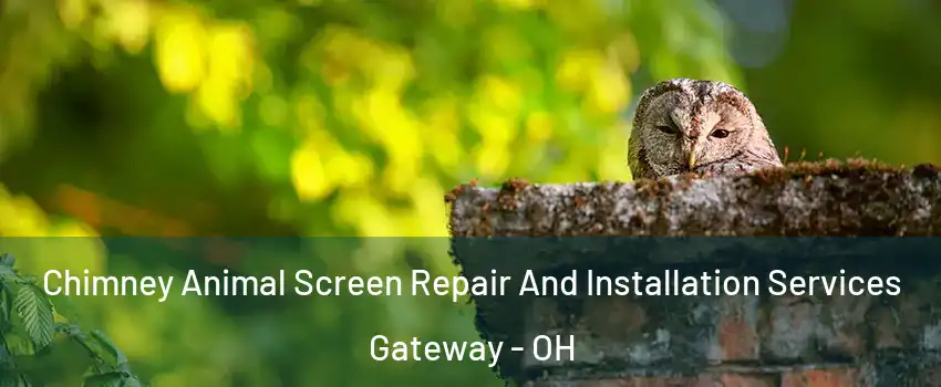 Chimney Animal Screen Repair And Installation Services Gateway - OH