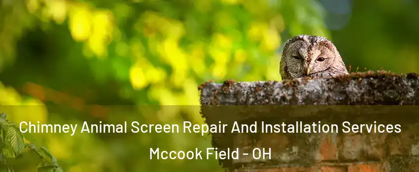 Chimney Animal Screen Repair And Installation Services Mccook Field - OH