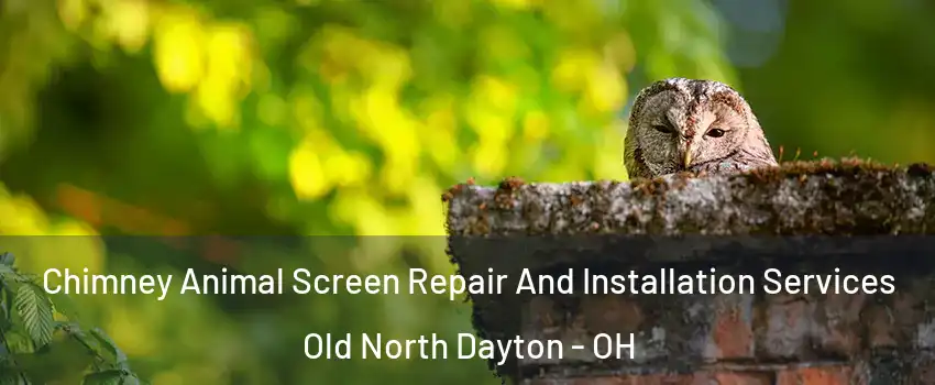 Chimney Animal Screen Repair And Installation Services Old North Dayton - OH
