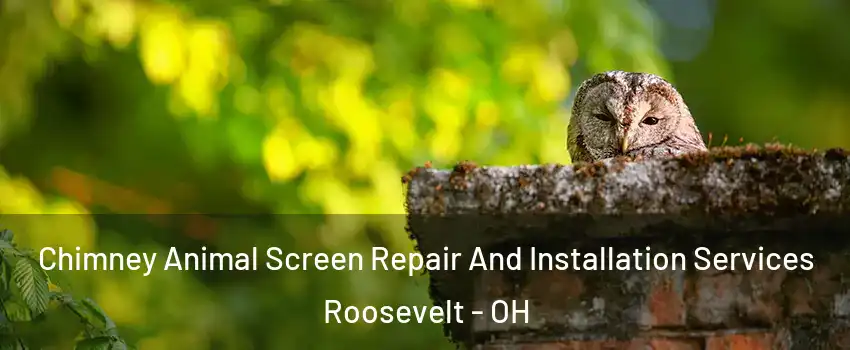 Chimney Animal Screen Repair And Installation Services Roosevelt - OH