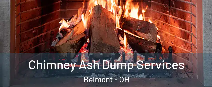 Chimney Ash Dump Services Belmont - OH