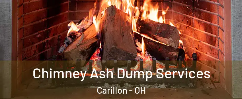 Chimney Ash Dump Services Carillon - OH