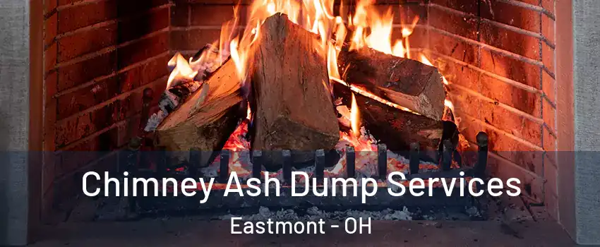 Chimney Ash Dump Services Eastmont - OH