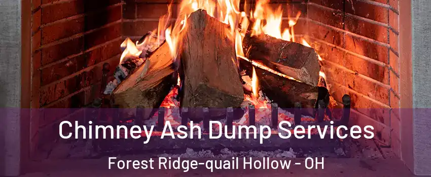 Chimney Ash Dump Services Forest Ridge-quail Hollow - OH