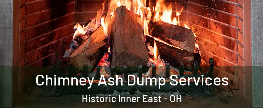 Chimney Ash Dump Services Historic Inner East - OH