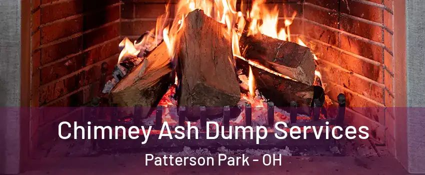 Chimney Ash Dump Services Patterson Park - OH