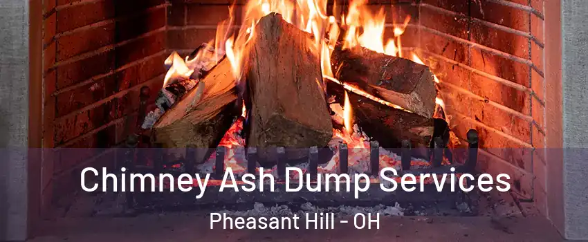 Chimney Ash Dump Services Pheasant Hill - OH