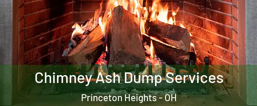 Chimney Ash Dump Services Princeton Heights - OH