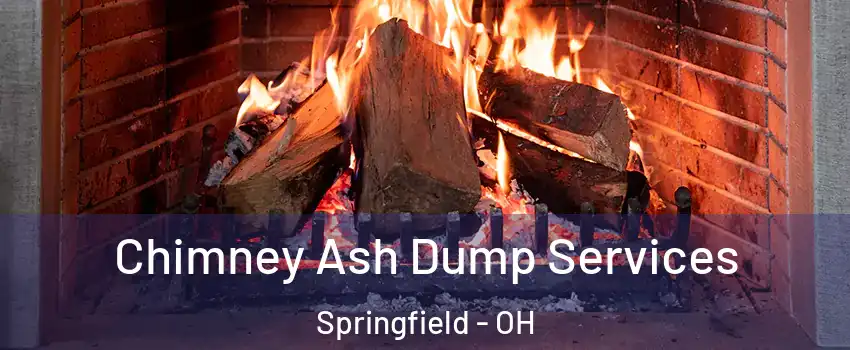 Chimney Ash Dump Services Springfield - OH