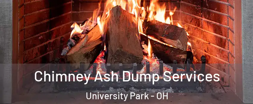 Chimney Ash Dump Services University Park - OH