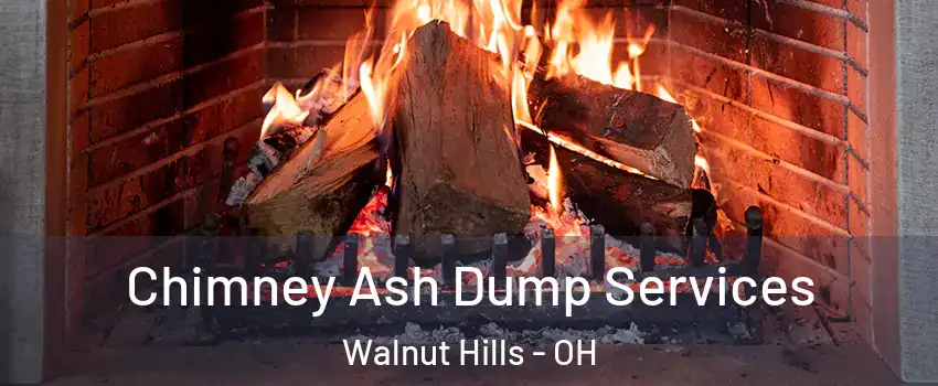 Chimney Ash Dump Services Walnut Hills - OH