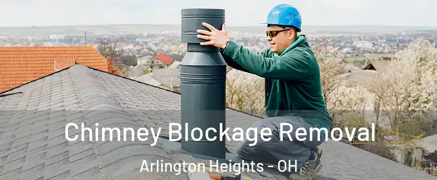 Chimney Blockage Removal Arlington Heights - OH