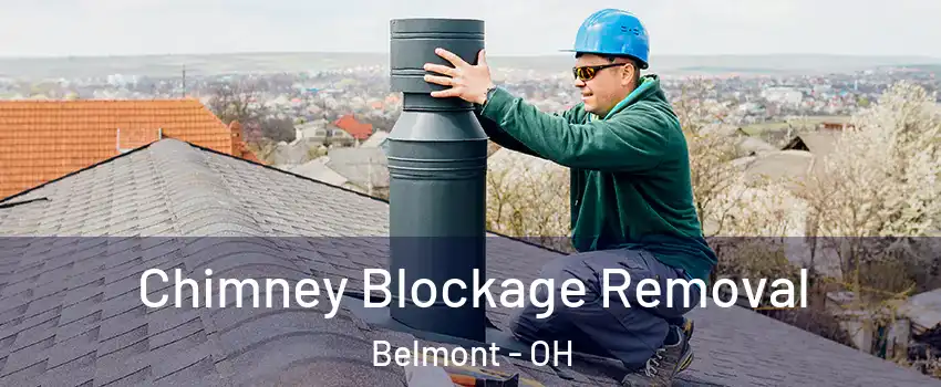 Chimney Blockage Removal Belmont - OH