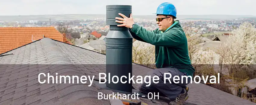 Chimney Blockage Removal Burkhardt - OH