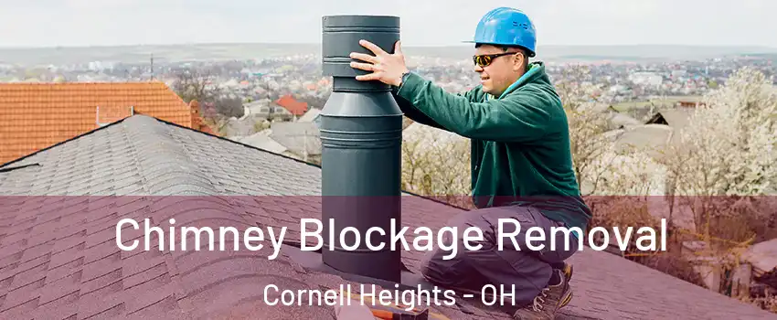 Chimney Blockage Removal Cornell Heights - OH