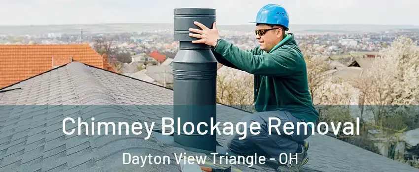 Chimney Blockage Removal Dayton View Triangle - OH
