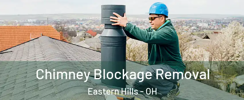 Chimney Blockage Removal Eastern Hills - OH