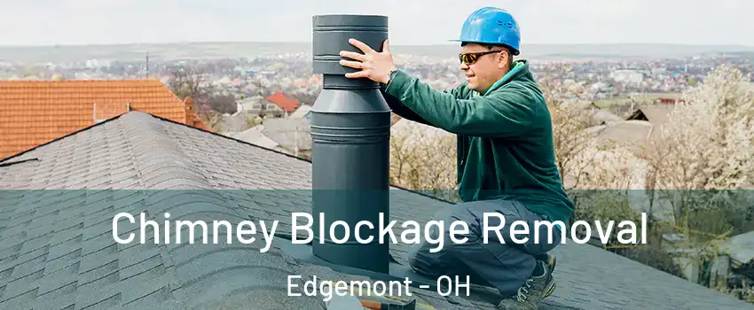 Chimney Blockage Removal Edgemont - OH