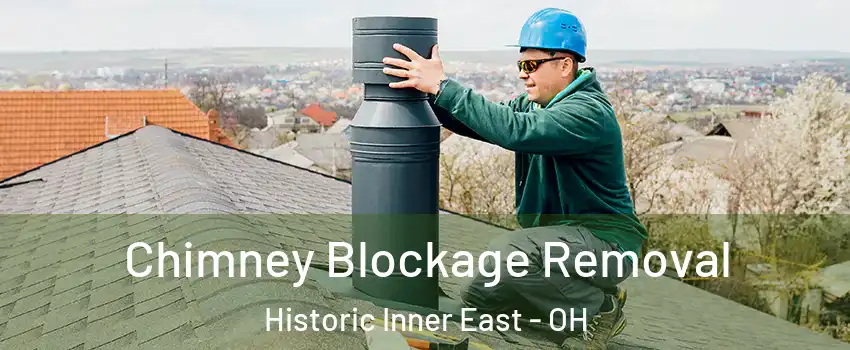 Chimney Blockage Removal Historic Inner East - OH