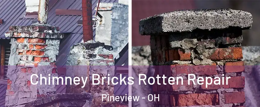 Chimney Bricks Rotten Repair Pineview - OH