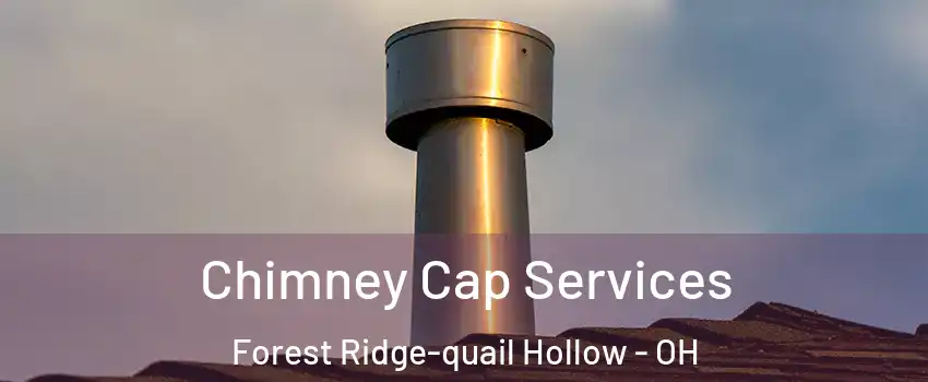Chimney Cap Services Forest Ridge-quail Hollow - OH