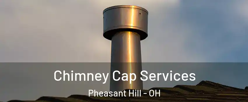 Chimney Cap Services Pheasant Hill - OH