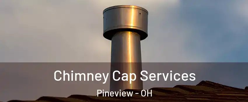 Chimney Cap Services Pineview - OH