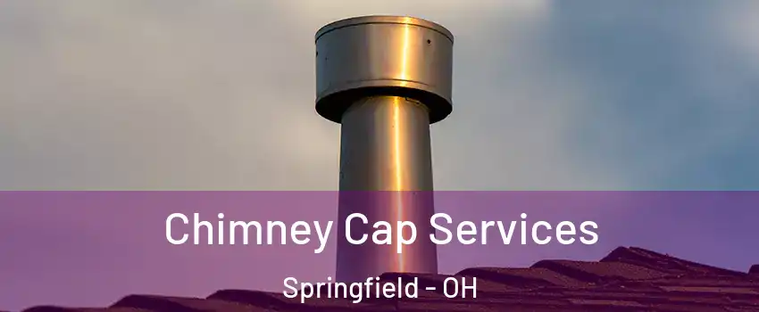 Chimney Cap Services Springfield - OH
