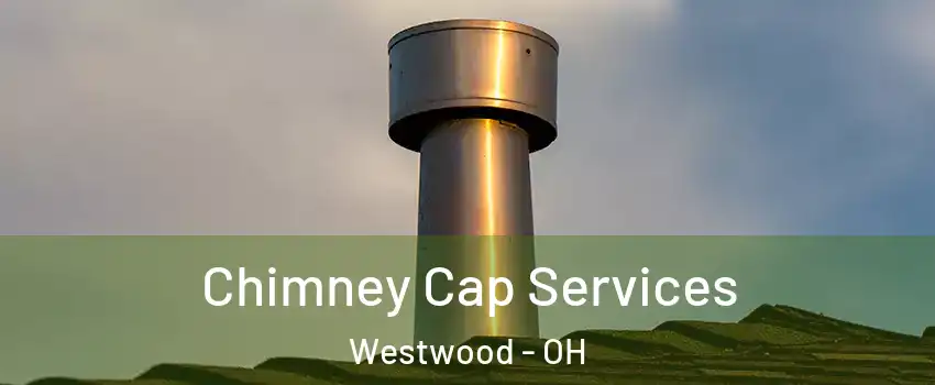 Chimney Cap Services Westwood - OH