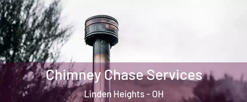 Chimney Chase Services Linden Heights - OH