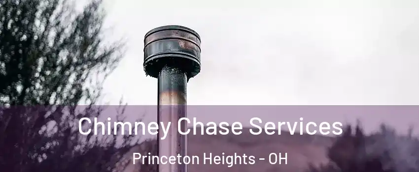 Chimney Chase Services Princeton Heights - OH