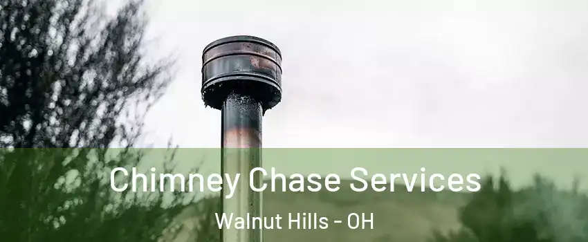 Chimney Chase Services Walnut Hills - OH