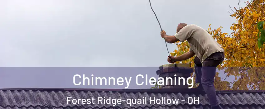 Chimney Cleaning Forest Ridge-quail Hollow - OH