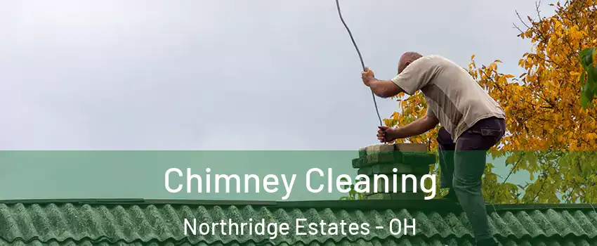 Chimney Cleaning Northridge Estates - OH