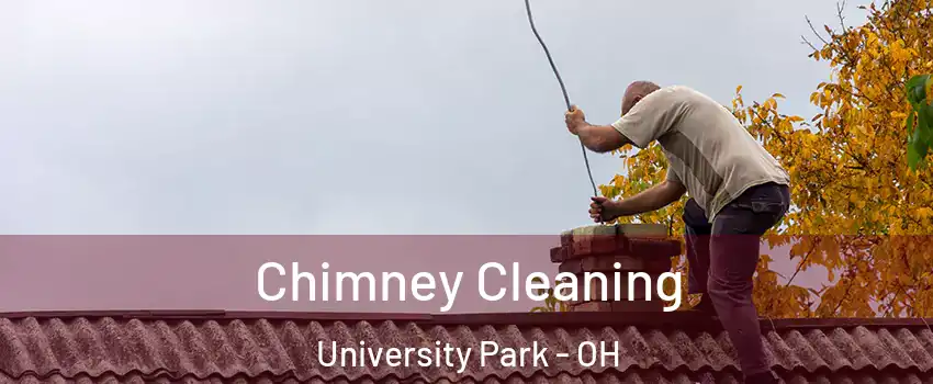 Chimney Cleaning University Park - OH