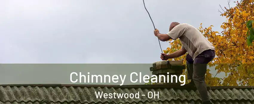 Chimney Cleaning Westwood - OH