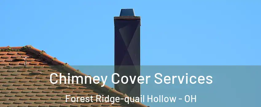 Chimney Cover Services Forest Ridge-quail Hollow - OH